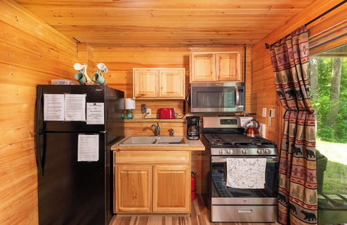 Conway Cabin | Cozy Cabin Retreat: Pet Friendly in a Quiet Neighborhood