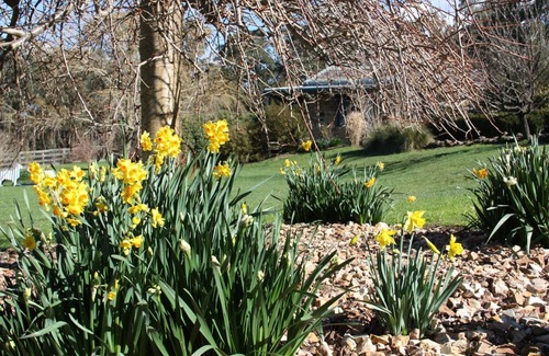 Muskvale Cottage | Pet-Friendly Studio with Ocean View Near Daylesford