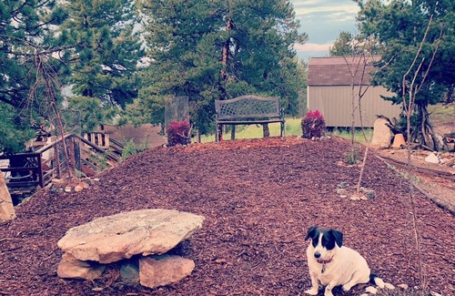 Coal Creek Canyon House | Dog Heaven/Unique mountain home for artists, creators or tech start ups.