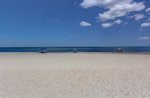 Ocean Cay Apartment | ```html
Pet-Friendly Oceanfront Condo with Great Guest Ratings
```