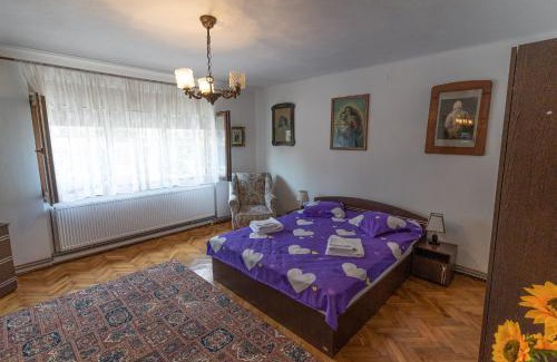Alba Iulia Apartment | Rated 9.9/10: Family-Friendly Stay at Doi Bujori
