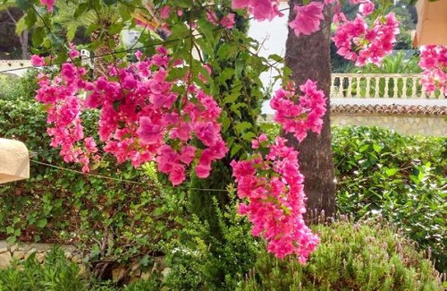 Savoca Bed & Breakfast | Budget-Friendly Dolce Casa n41: Child Safe & Guest Rated 9/10