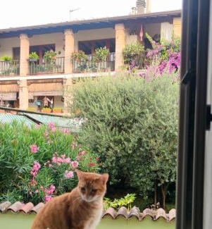 San Felice del Benaco Bed & Breakfast | Top-Rated Dolce Lago B&B with Family-Friendly Dining