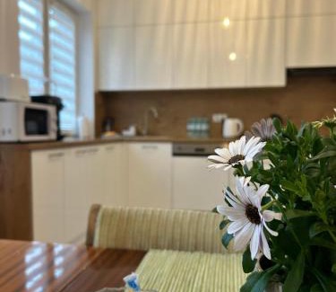 Mszana Dolna Apartment | Pet-Friendly Dolce Vita with Oceanfront Views & Hot Tub