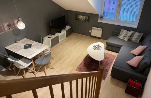 Dolni Morava Apartment | Family-Friendly Dolní Morava Apartments with Dining Options