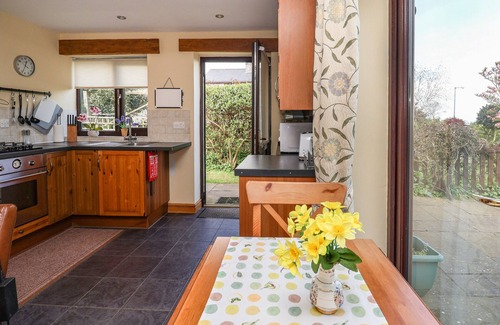 Dolphin Cottage | Pet-Friendly Dolphin Bach: Cozy Oceanfront Holiday Retreat