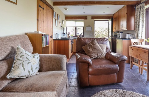 Dolphin Cottage | Pet-Friendly Dolphin Bach: Cozy Oceanfront Holiday Retreat