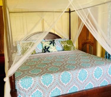 Bocatorito Bed & Breakfast | Discover Dolphin Bay Hideaway: 4-Star Oasis with Pool & Hot Tub