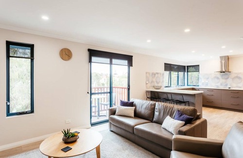 Middleton Beach Apartment | Relaxing Dolphin Lodge with Oceanfront Pool & Breakfast