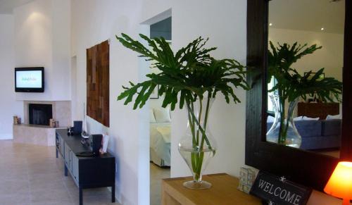 Boca Raton House | Inviting Dolphin Retreat in East Boca Raton - Family Friendly