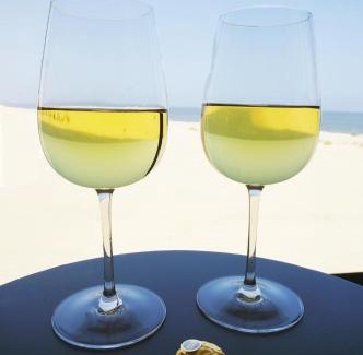 Rand Rifles House | Dolphin View Beach House