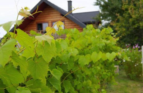 Bochnia House | Family-Friendly Retreat at Dom Pachnacy Zywica with Hot Tub