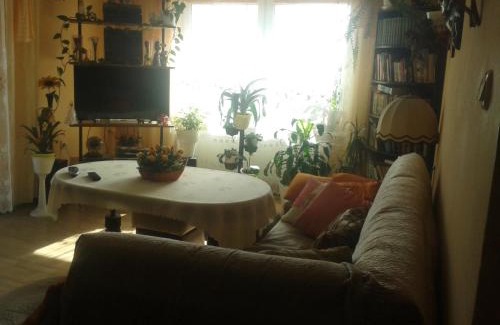 Lesna House | Pet-Friendly Getaway at Dom Pod Różą with Gourmet Dining