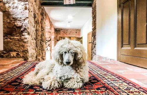 Srebrna Gora Bed & Breakfast | Inviting Dom pod Twierdzą Srebrna Góra: Pet-Friendly Retreat