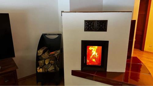 Ladek-Zdroj House | Experience Dom Puchacza: 4-Star Pet-Friendly Getaway