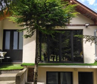 Nisava District Cabin | Stunning Views at Dom sa pogledom Jela - Rated 9.9/10!