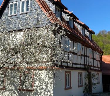 Pieszyce House | Top-Rated Dom Tkacza: Pet Friendly with Kitchen Amenities