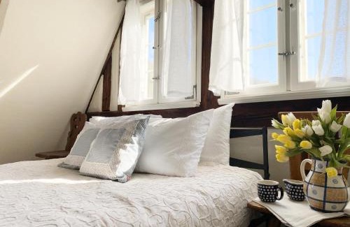 Pieszyce House | Top-Rated Dom Tkacza: Pet Friendly with Kitchen Amenities