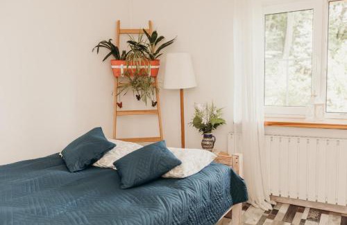 Janowice Wielkie House | Cozy Dom w Dolinie: Guest Rated 9.5 with Hot Tub & Breakfast