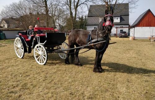 Wielen House | Cozy Dom w Wieleniu: 4-Star Stay with Family-Friendly Perks