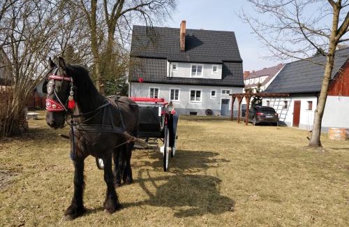 Wielen House | Cozy Dom w Wieleniu: 4-Star Stay with Family-Friendly Perks