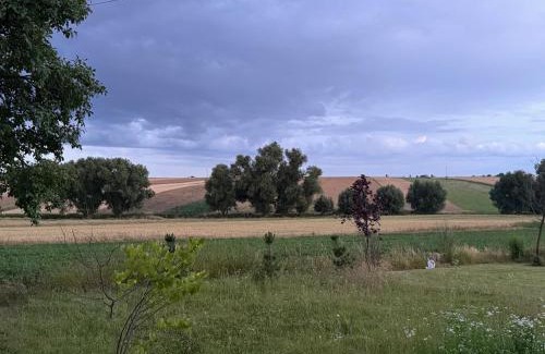 Niedrzwica Duza House | Dom wsród pól Radawczyk