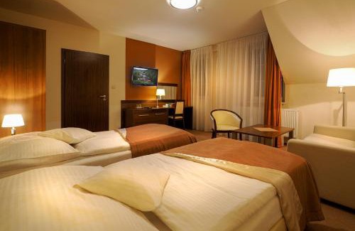 Cerveny Klastor Hotel | Relax at Dom zdravia - KÚPELE PIENINY with Pool & Spa