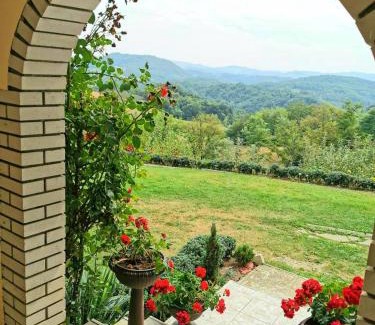 Central Serbia House | Top-Rated Domaćinstvo Sinđelić: Pet-Friendly Retreat