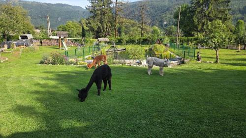 Bohinj Apartment | Pet-Friendly Domačija Loncnar Apartment - Guest Rated 9.2/10