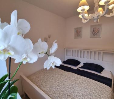 Hrastnik Apartment | Domačija Rajsko srce