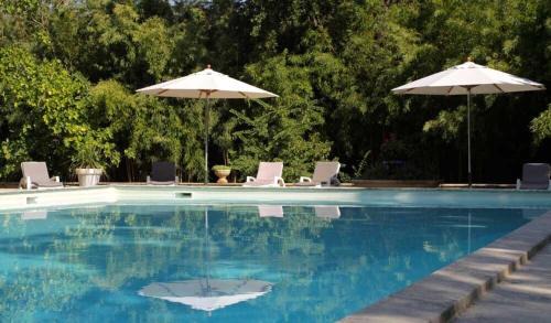Entraigues-sur-la-Sorgue House | Historic Domaine de la Dragonette in Beautiful Provence
