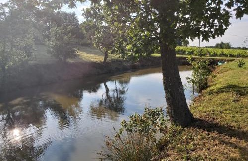 Fronton Bed & Breakfast | Discover Domaine de Codeval with Ocean Views & Pool Access
