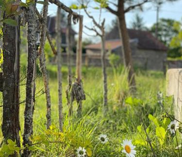 Saint-Medard-la-Rochette Villa | Pet-Friendly Retreat at Domaine de Combraille en Marche