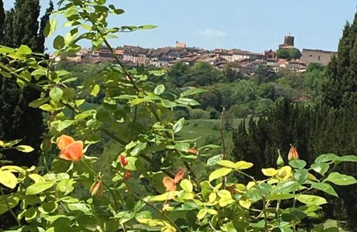 Verfeil Bed & Breakfast | Discover Domaine de Gailhaguet B&B: Family-Friendly Oasis