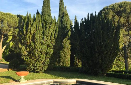 Verfeil Bed & Breakfast | Discover Domaine de Gailhaguet B&B: Family-Friendly Oasis