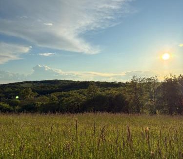 Seniergues Other | Domaine de la Faurie