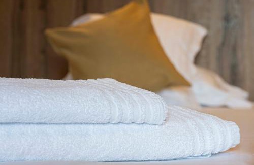 Les Salles Hotel | Discover Domaine de la Plagnette: Rated 9/10, Family-Friendly