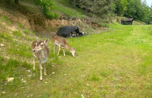 Montignac House | Discover Domaine de la Source: Family-Friendly Retreat
