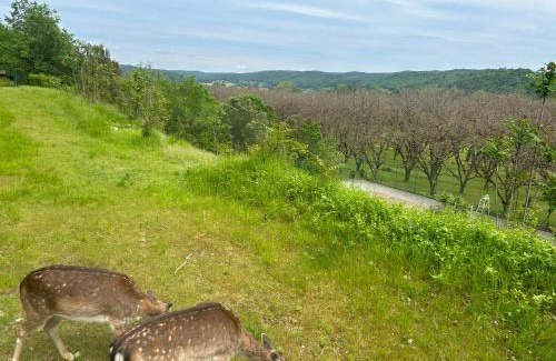 Montignac House | Discover Domaine de la Source: Family-Friendly Retreat
