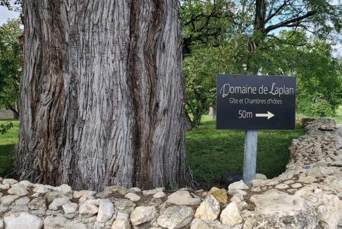 Cezan Bed & Breakfast | Oceanfront Escape at Domaine de Laplan with Breakfast & Views
