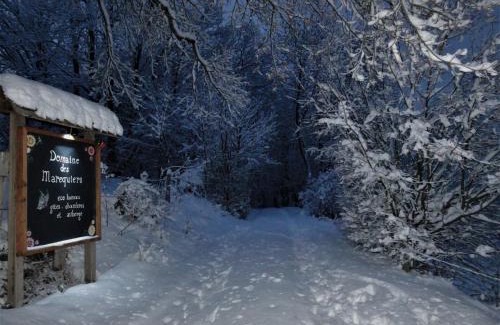 Saint-Germain-du-Teil Bed & Breakfast | Discover Domaine des Marequiers: Family-Friendly Retreat