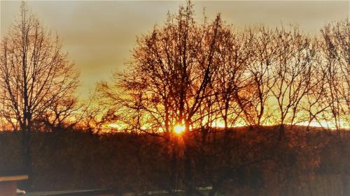 Saint-Germain-du-Teil Bed & Breakfast | Discover Domaine des Marequiers: Family-Friendly Retreat