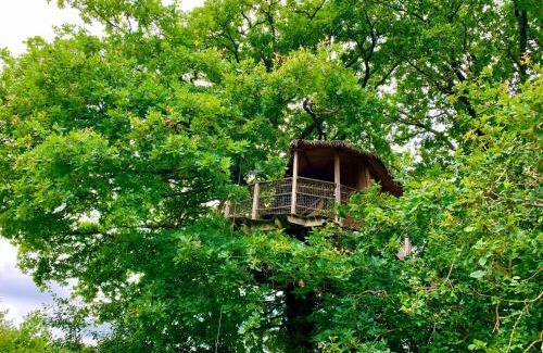 La Baconniere Bed & Breakfast | Exceptional Stay at Domaine des Vaulx with Family-Friendly Amenities
