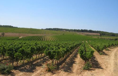 Pertuis Bed & Breakfast | Exceptional Domaine du Coffre: Pool & Family-Friendly Stays
