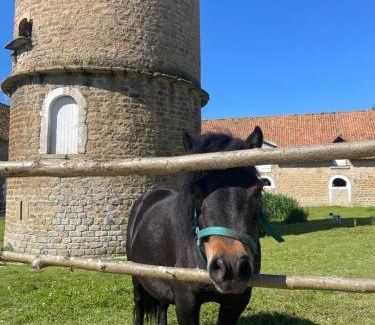 Hesdin-l'Abbe House | Experience Relaxation at Domaine du SAAJ with Ocean Views