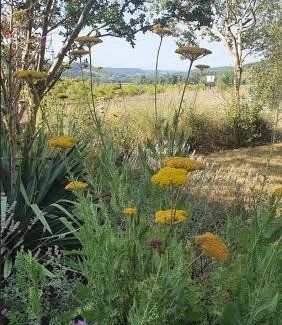 Montcuq Bed & Breakfast | Elegant Domaine Lapèze: Oceanfront Pool & 4-Star Luxury