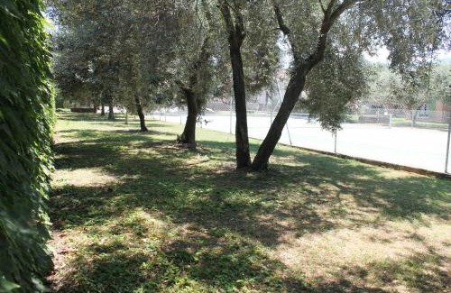 Querciolo Apartment | Discover Domaine Le Clos des Oliviers with Ocean Views