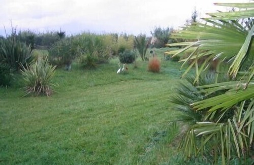 Meze Apartment | Experience DOMAINE SESQUIER: Family Gîte with Ocean Views
