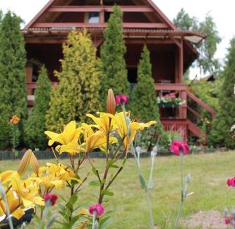 Wejherowo Cabin | Discover Domek Aleksandra: Pet-Friendly with High Ratings
