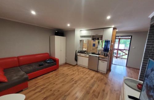 Blanki House | Relax at Domek Drewniany w Dolinie Symsarny - Rated 9/10!